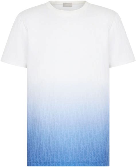 dior gradient t shirt|T.